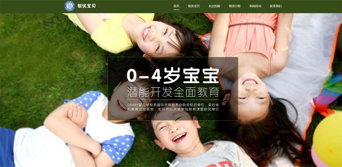 北京次渠網站建設公司
